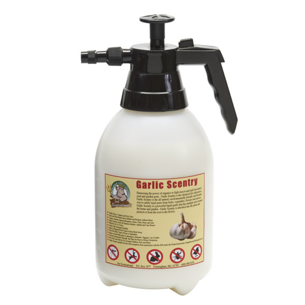 Just Scentsational Garlic Scentry - Half Gallon Pump