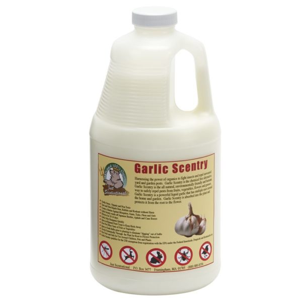 Just Scentsational Garlic Scentry - Concentrate Half Gallon