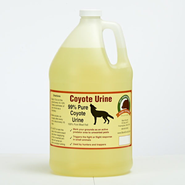 Coyote Urine Predator Scent Gallon