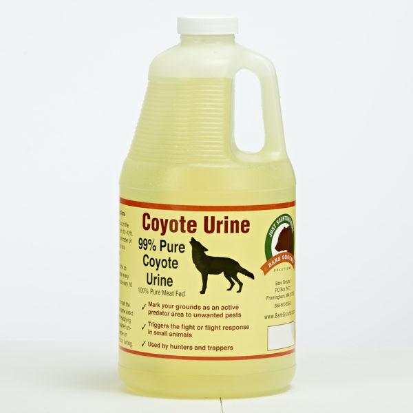 Coyote Urine Predator Scent Half Gallon