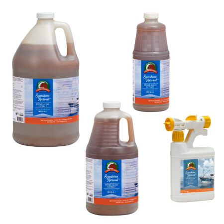 Brown Algae Extract  NPK 0-0-1 with Natural Salicylic Acid