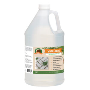 Horticultural Vinegar